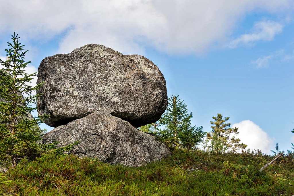 Långvattnets naturreservat